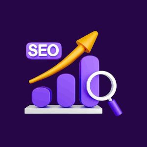 SEO Packages South Africa